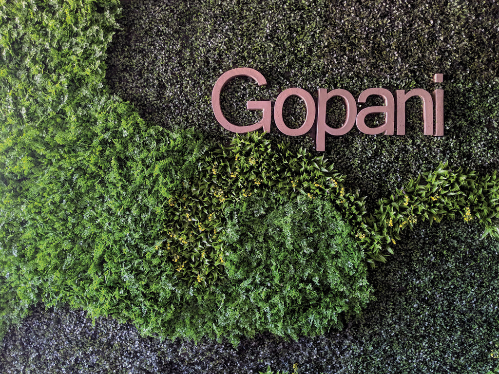 Signage for Gopani