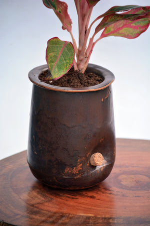 Open image in slideshow, Ensō - the self watering planter
